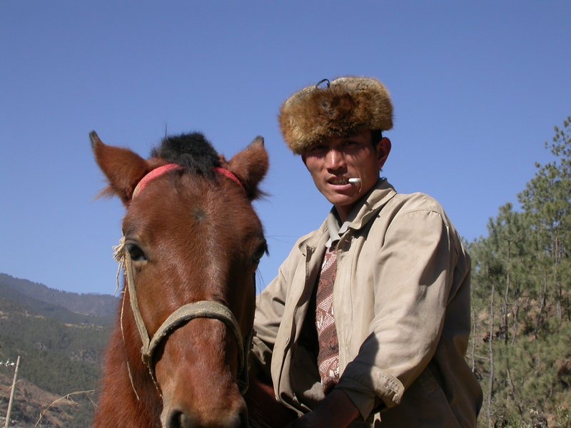TIBETAN HORSE MARKET