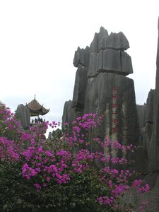 SHILIN STONE FOREST