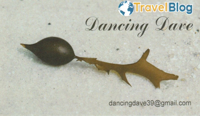 DANCING DAVE BUSINESS CARD