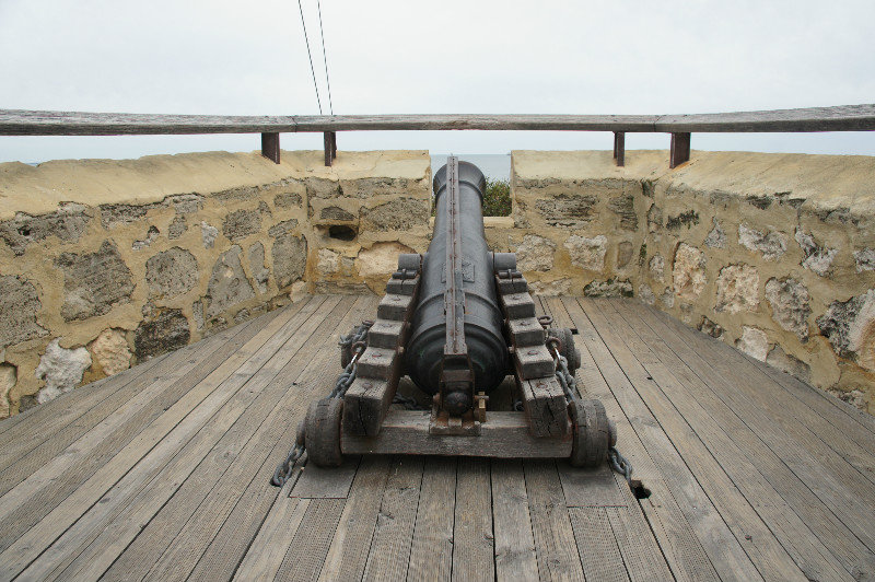 CINDY'S DAD'S CANNON