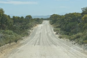 THE ROAD TO MACQUARIE HEADS