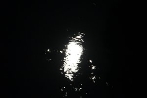 MOON IN THE SAVAGE RIVER