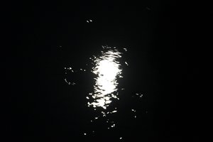 MOON IN THE SAVAGE RIVER