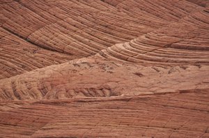 PETRIFIED DUNES