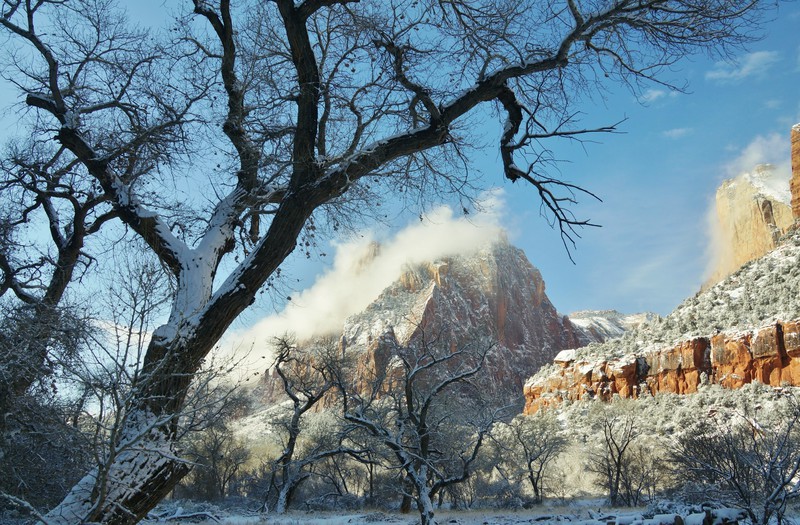 As the Snow Falls on Zion