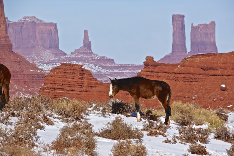 Monument Valley in the Snow