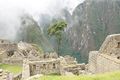 Machu Picchu...a sacred place in the sky