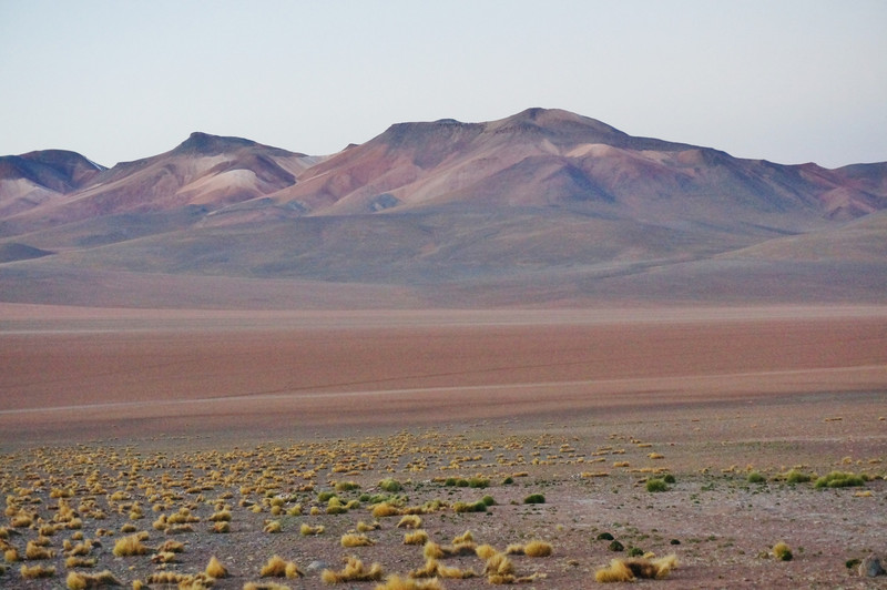 the Siloli Desert
