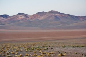 the Siloli Desert