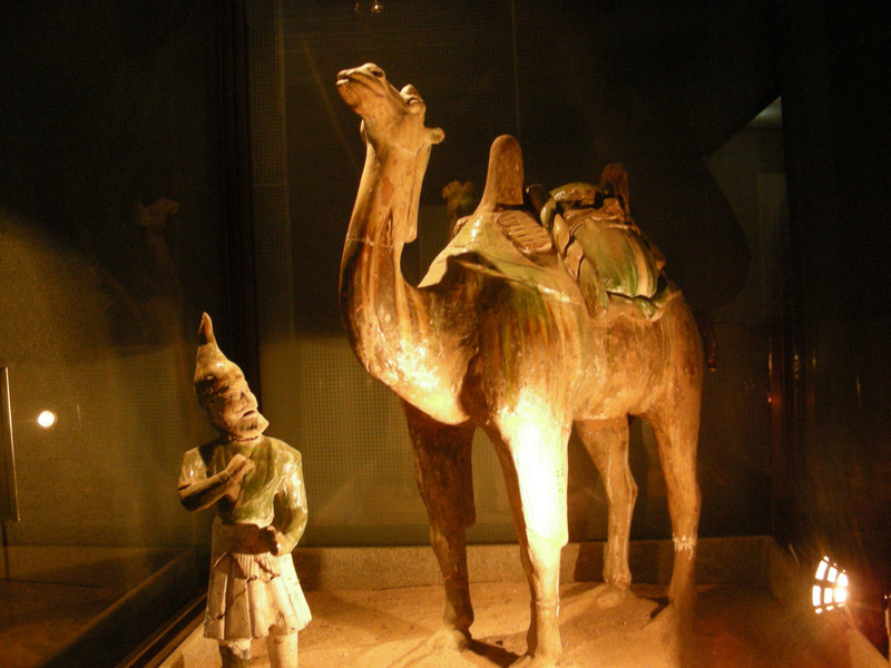 Tang Dynasty Camel