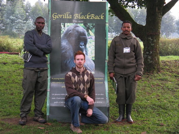 Gorilla Guides