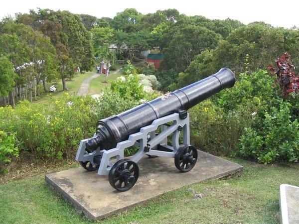 Cannon on Gun Hill