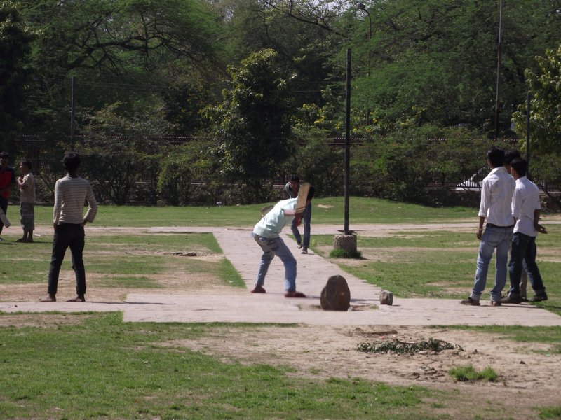 Cricket in the Tomb Gardens