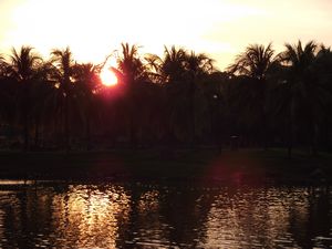 Jungle Lake Sunset