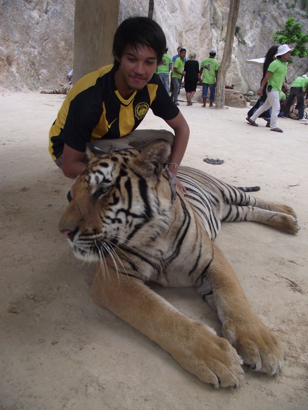 Myself and a Tiger