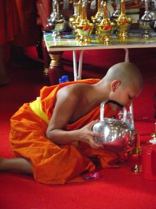 Young Bhuddist Monk Pouring Holy Water