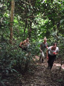 Trekking up Mini-Kt Kinabalu