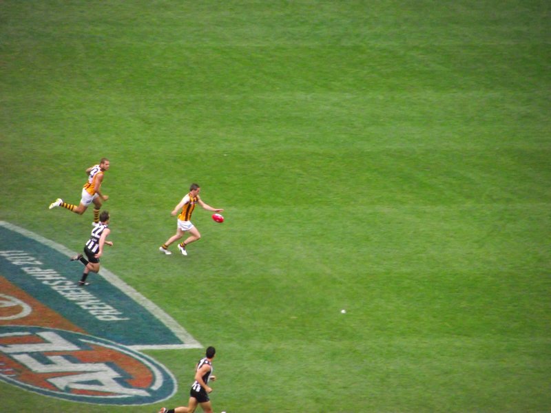 Hawthorn About to Kick