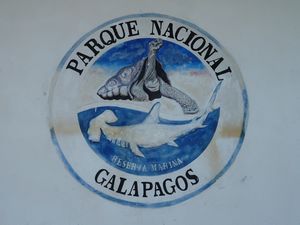 Galapagos baby!