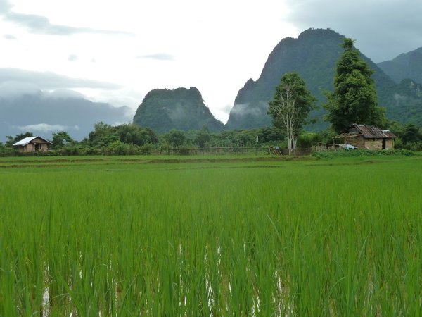 Vang Vieng, Lao