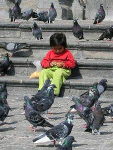 The little pigeon girl of Lima´s Monasterio de San francisco