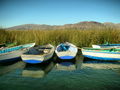 Lake Titicaca NCP