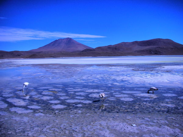 laguna Honda, Bolivia
