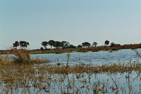 Okvango Delta 
