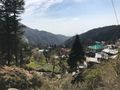 This view of Dharamkot will never get old 