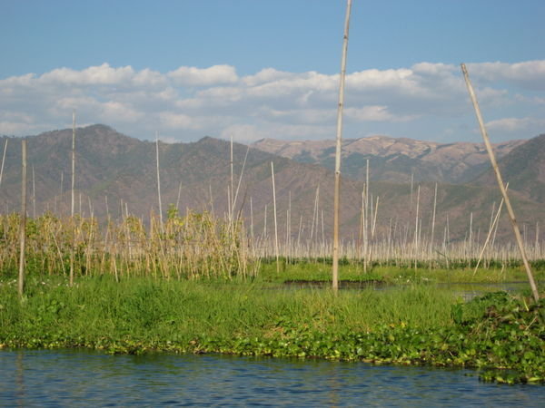 a gorgeous view from Inle Lake