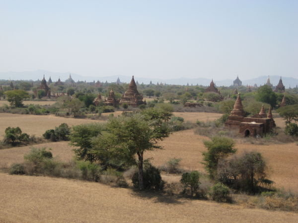 More Bagan temples
