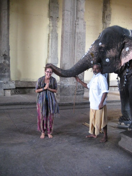 Blessed my an elephant