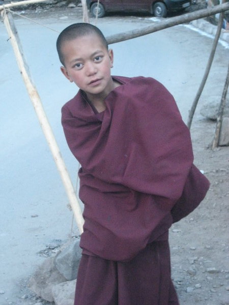 Little boy monk