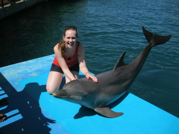with a dolphin