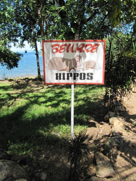 Achtung Hippos