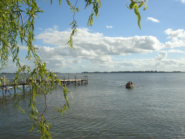 The lake 