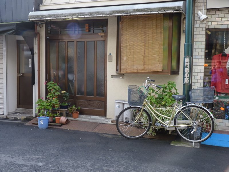Typical Tokyo House and Garden