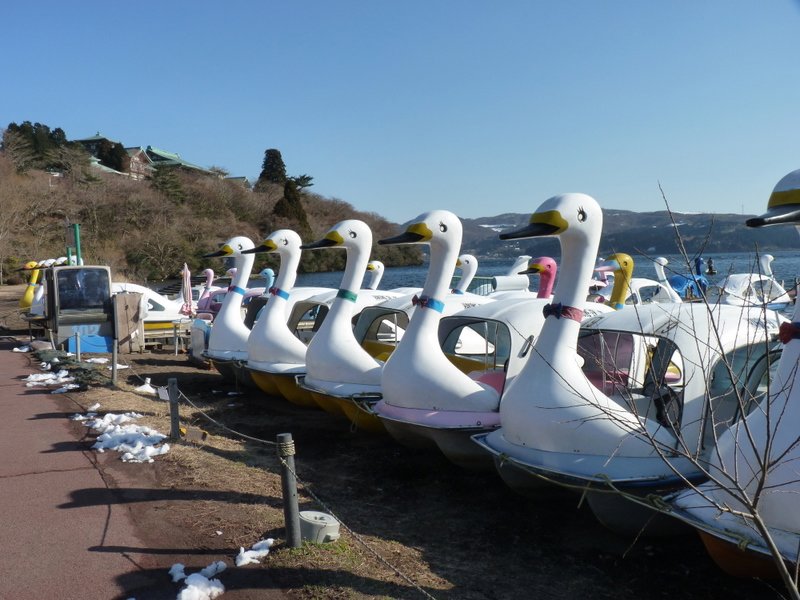 Swan boats -- summer only!