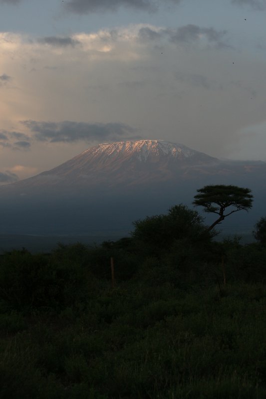 Mount Kilimanjaro!!!