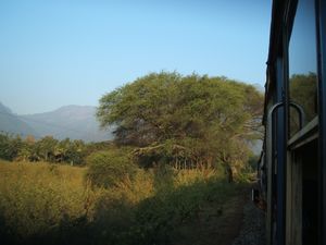 the blue mountain train