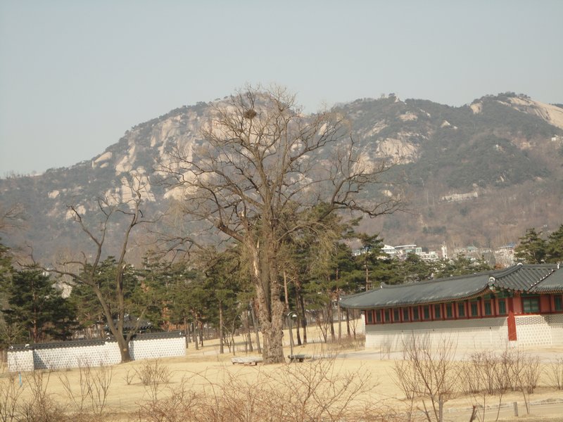 The mountains standing sentinel over Seoul