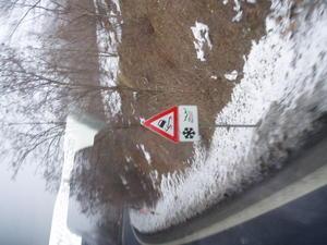 Carretera de Austria