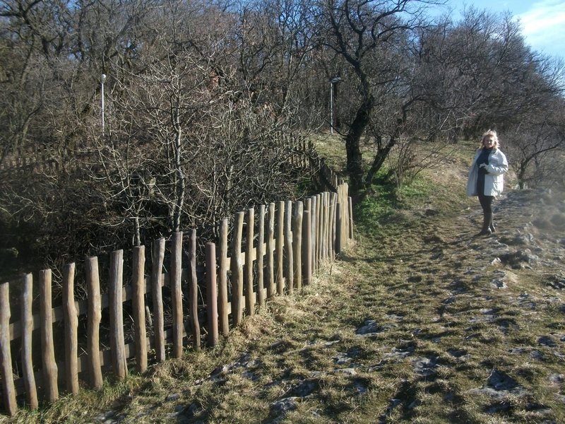 Kerítés