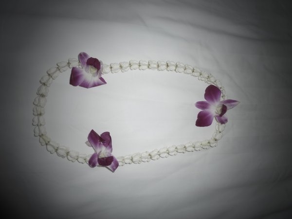 Beautiful orchid flower necklace