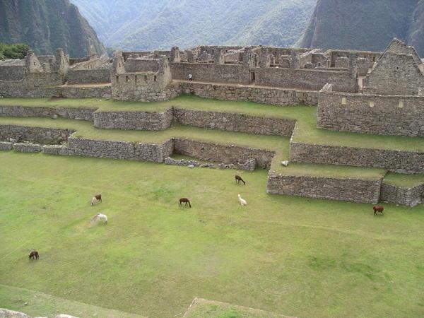 more of Machu Picchu