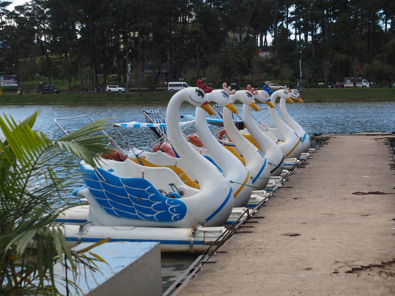 The paddle boats at the Lake