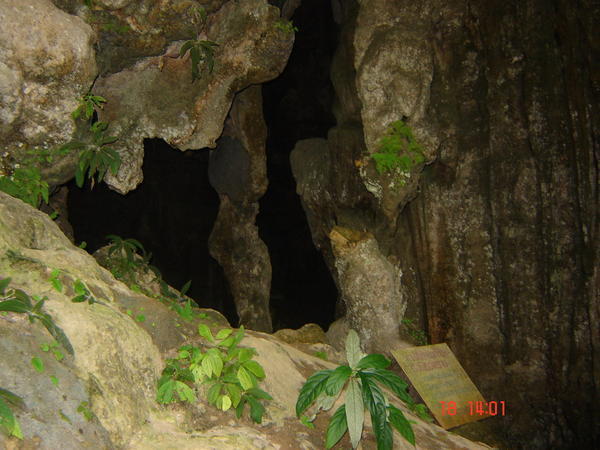 Coral Cave