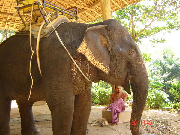 Elephant Rehab Centre