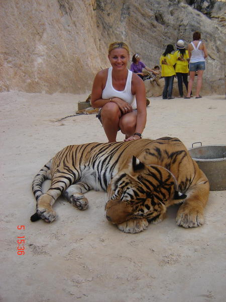 Tiger Temple... yep my heart was beatin pretty fast!