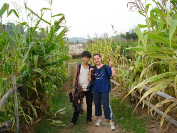 Trekking through the cornfields
